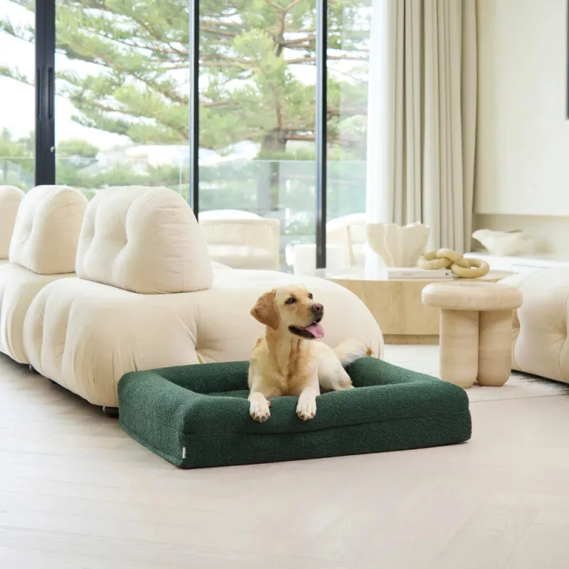 ブークレ犬用ベッドカバー：スタイルと耐久性ガイド