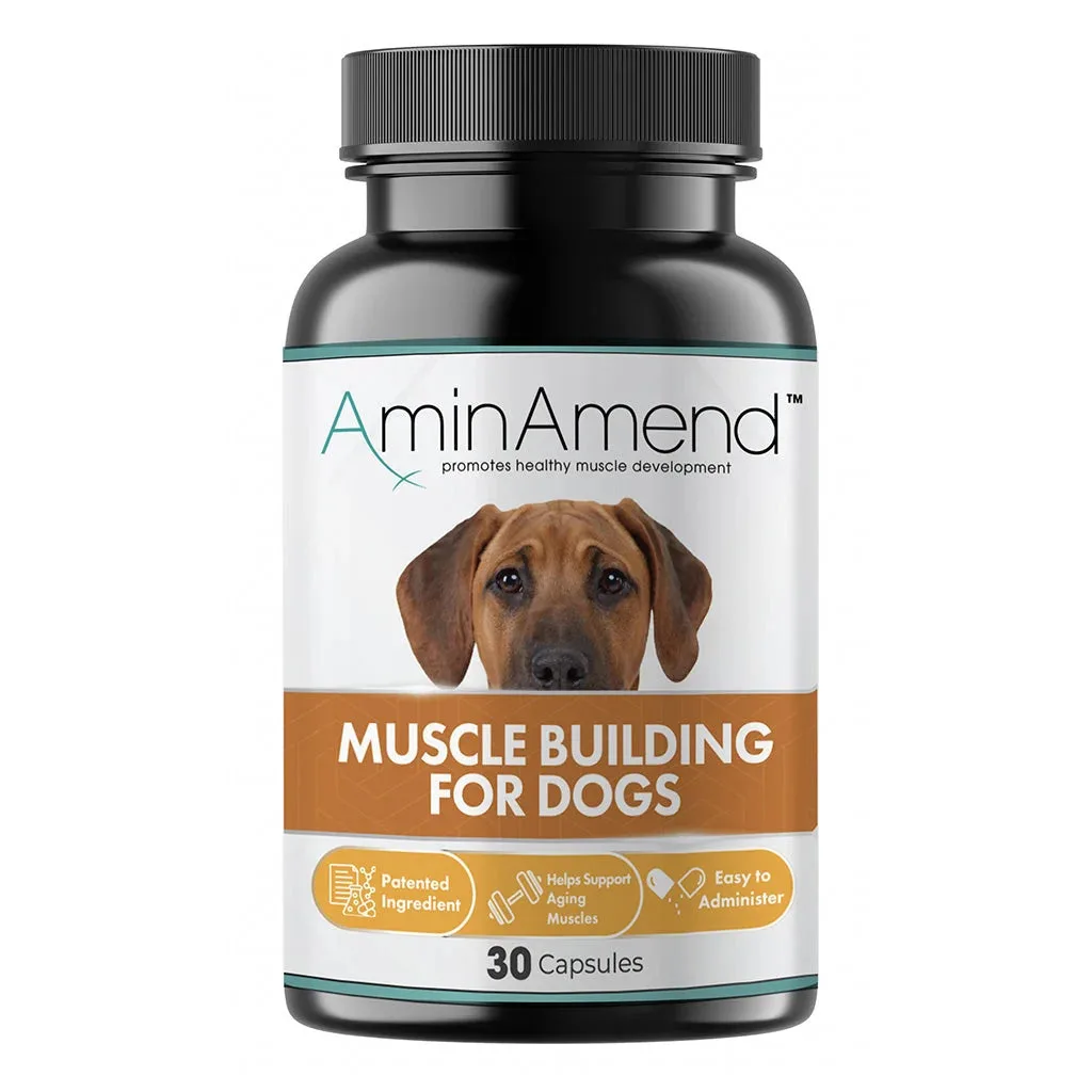 AminAmend Capsules for Large Dogs