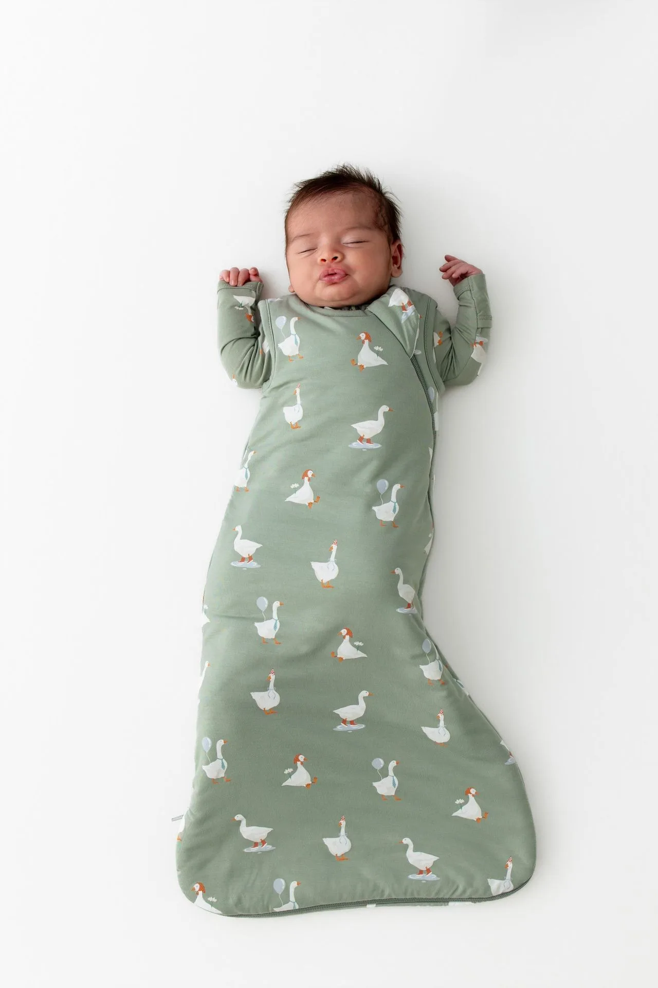 حقيبة النوم Silly Goose 1.0