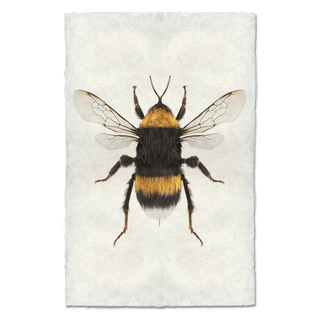 The Best Art Prints for Home Decor: A Review of Quality and Design