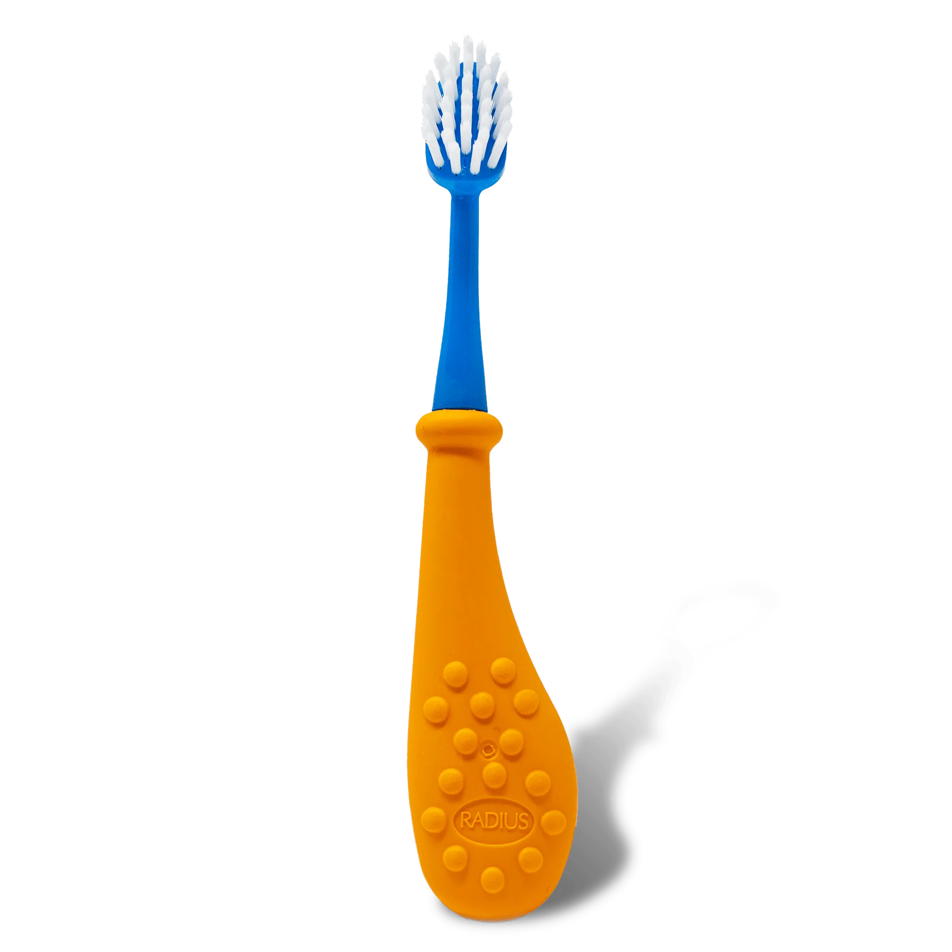 The Best Time to Brush: Morning, Night, or Both?