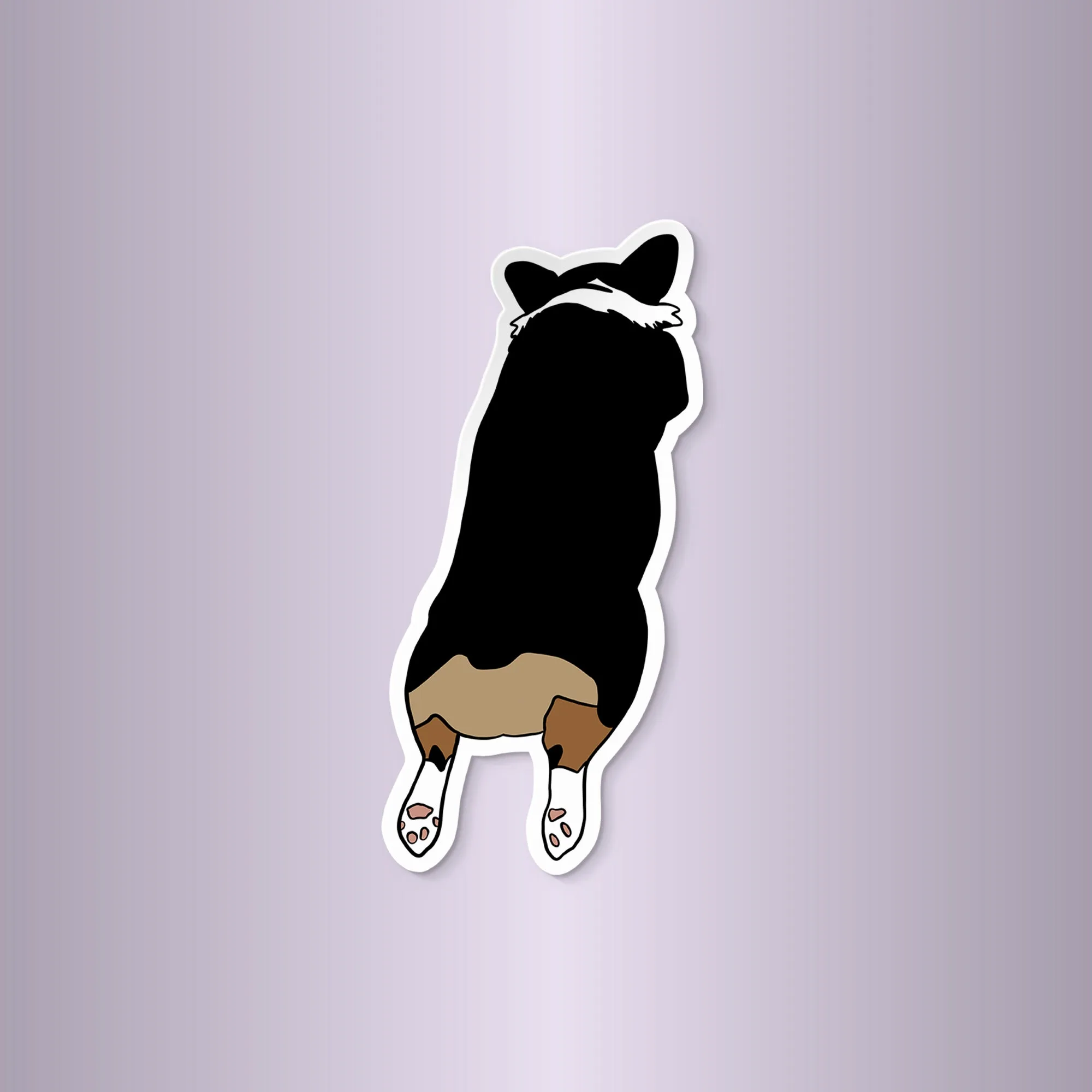 Corgi Sploot magnet