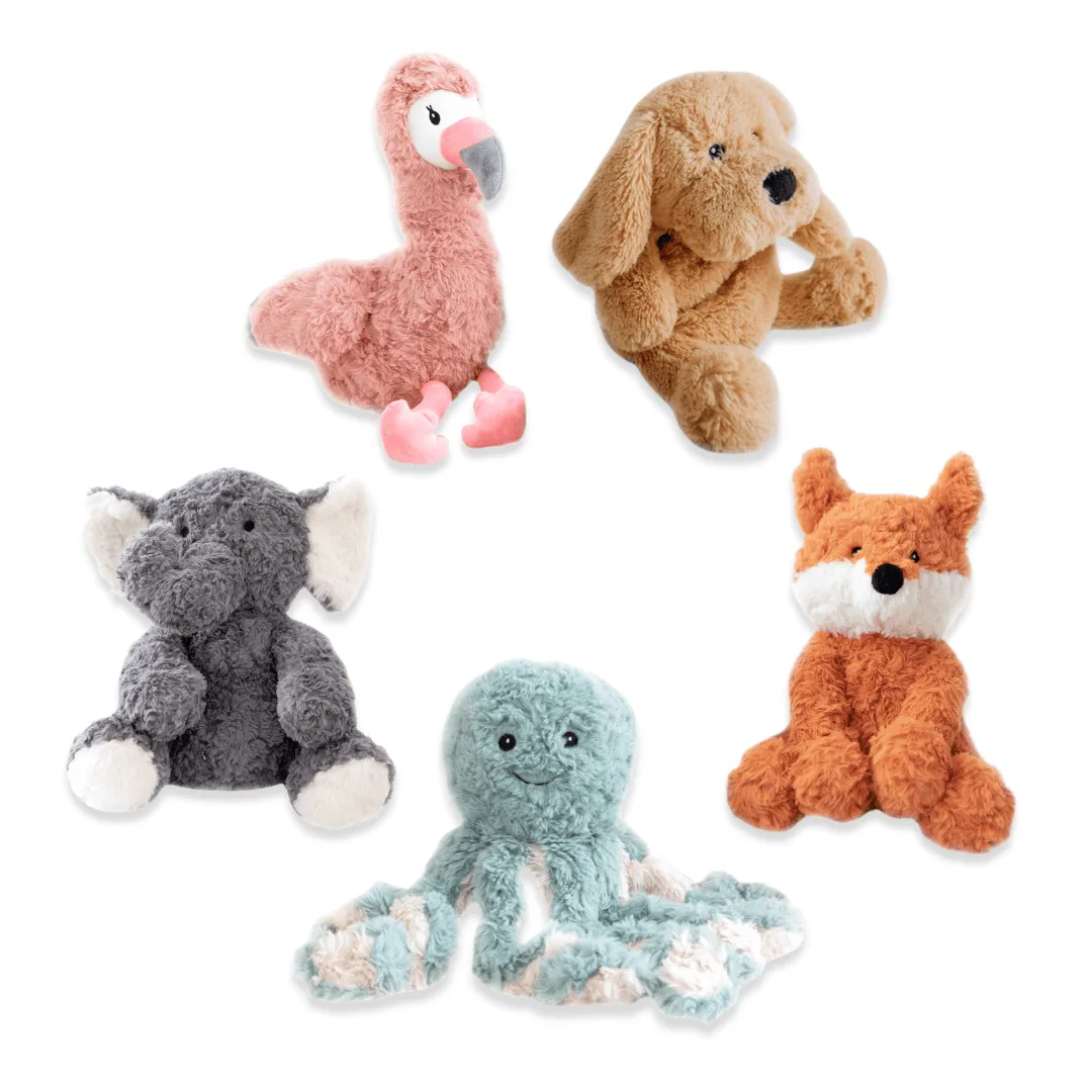 Weighted Buddy + Self-Regulation Toolkit: What's Inside