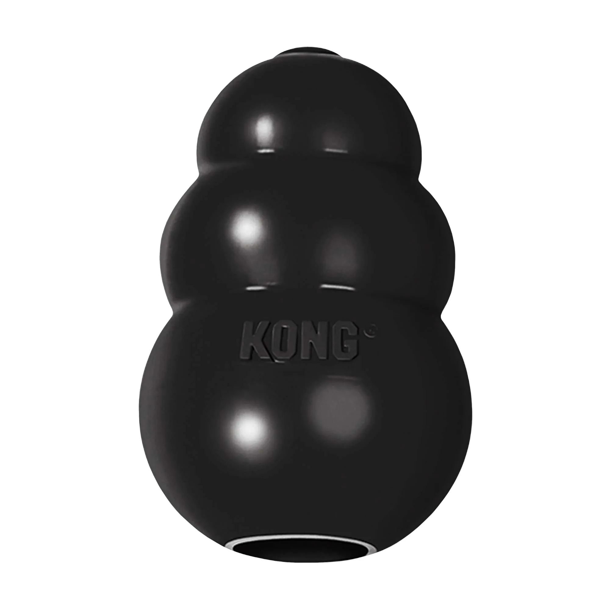 KONG Extreme vs Wild Knots Bear : Jouets robustes pour chiens