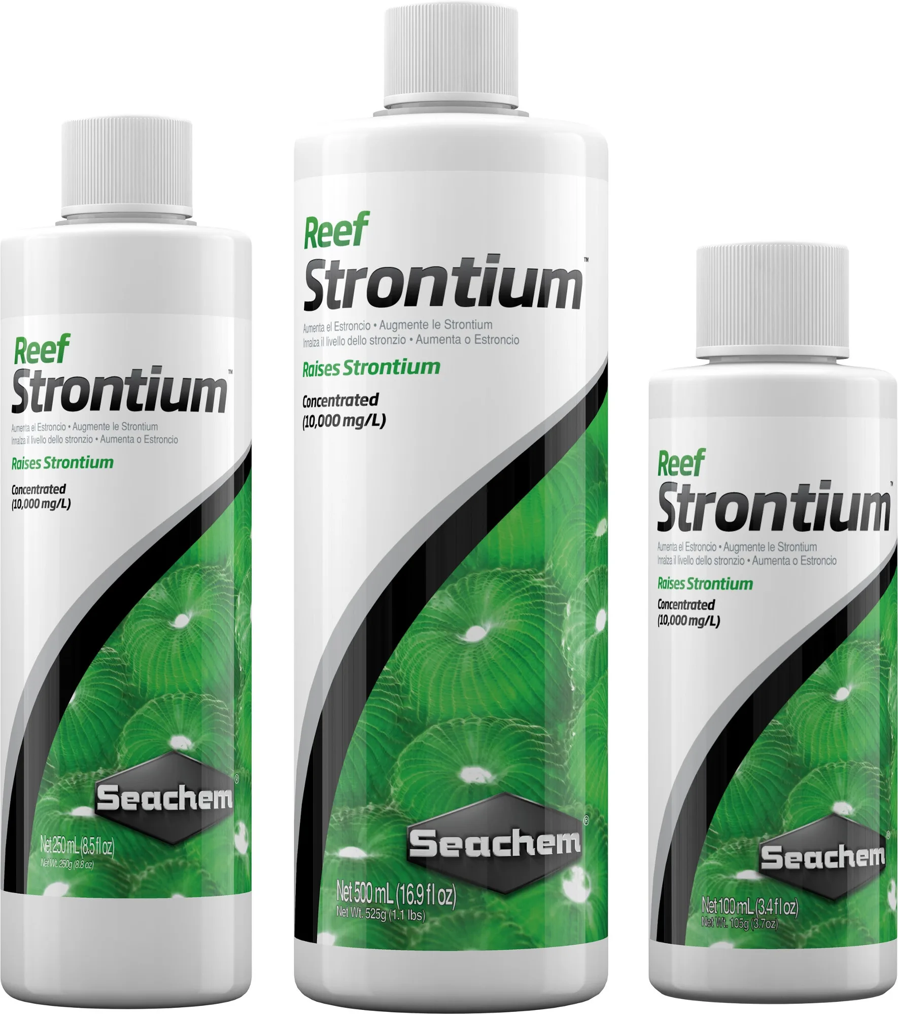 Marine Reef Strontium: Why Your Tank Needs It