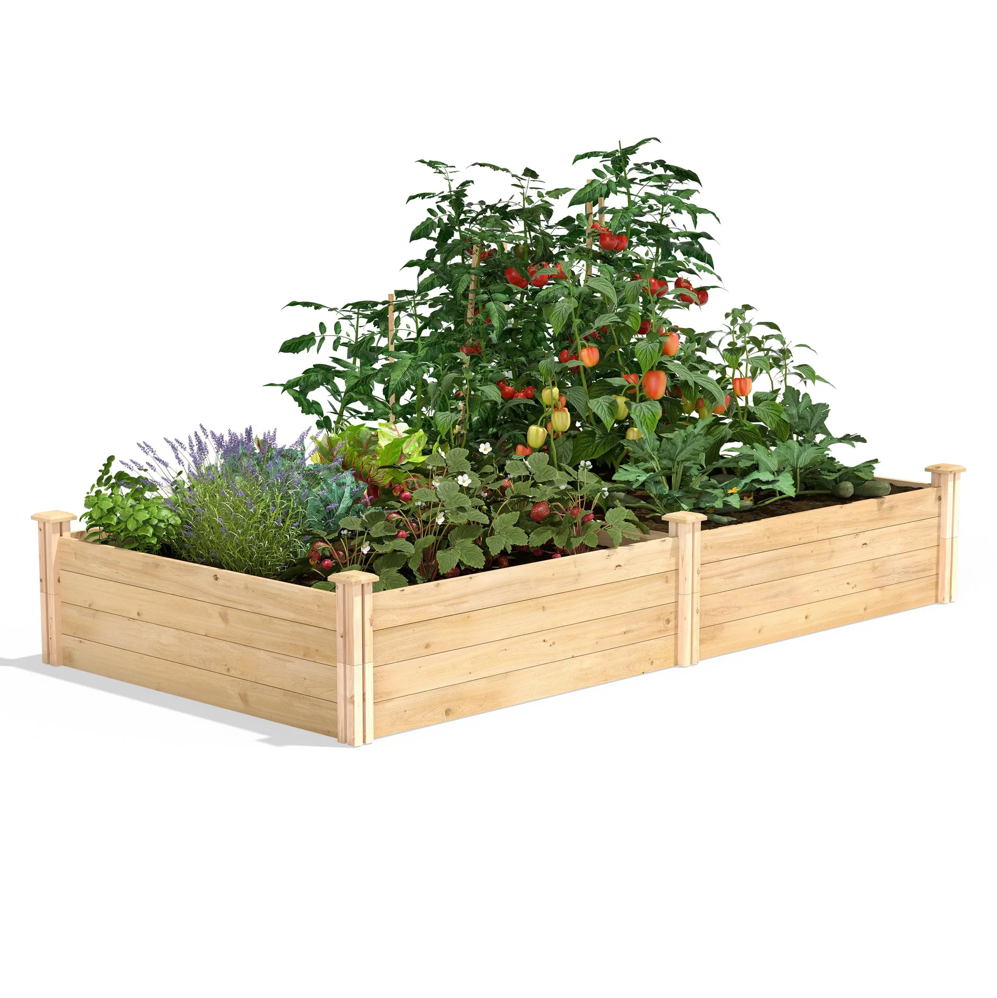 Premium Cedar Raised Bed 3x6 vs 4x8: Which Size Fits Your Garden?