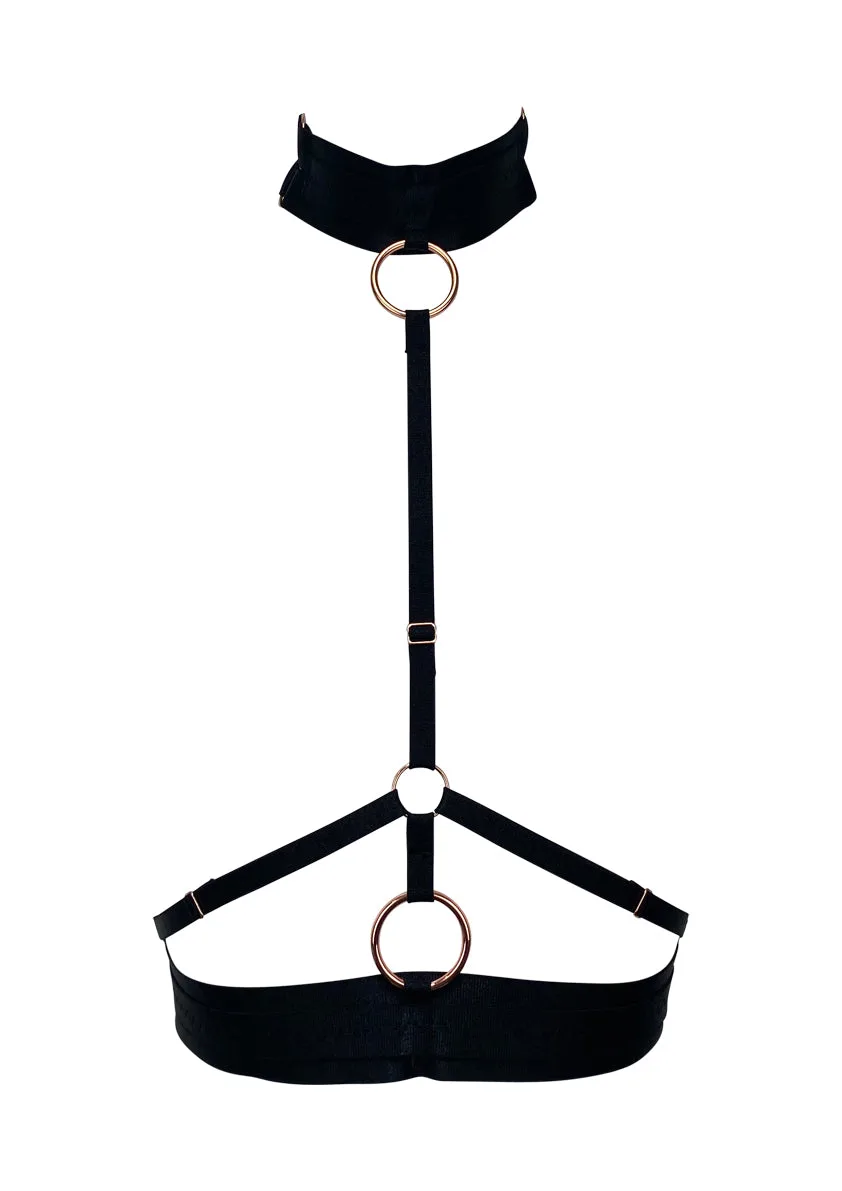 Poison Harness