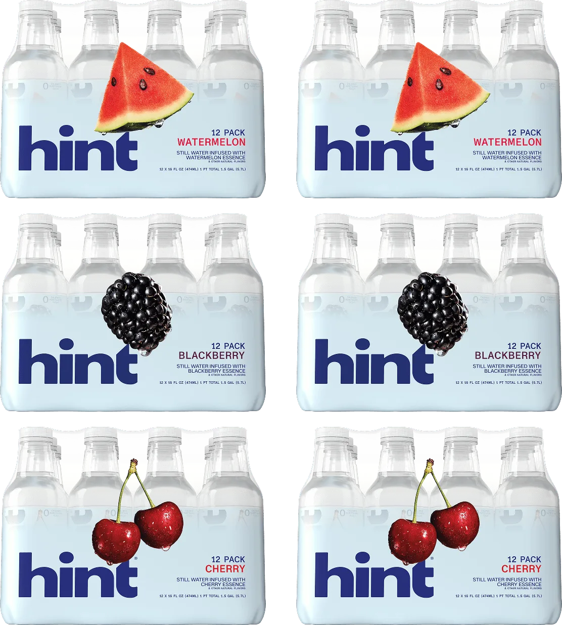 hint® water top sellers 6 case bundle