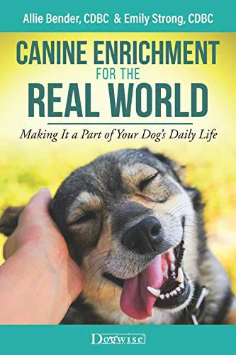 Canine Enrichment Ideas for Real-World Dogs