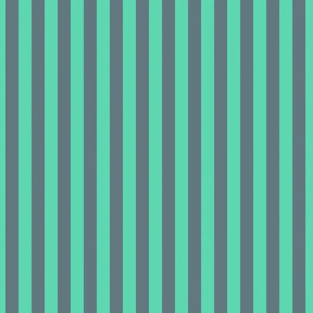 Tula Pink Neon True Colors Tented Stripes - Spirit 1/2 yd