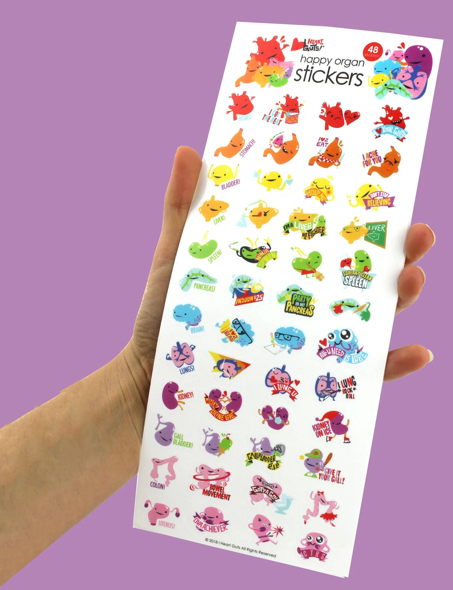 Hojas de pegatinas de órganos felices - Ahora con 96 mini pegatinas - 2 hojas de pequeñas pegatinas de anatomía