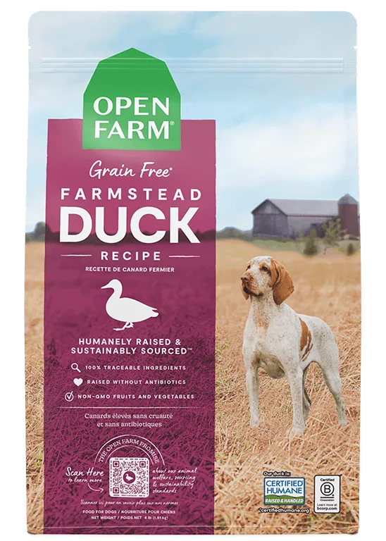 The Benefits of Adding Bone Broth to Your Dog's Diet: A Complete Guide
