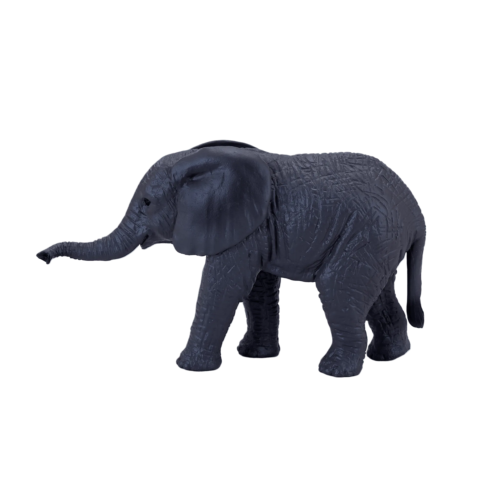 African Elephant Calf