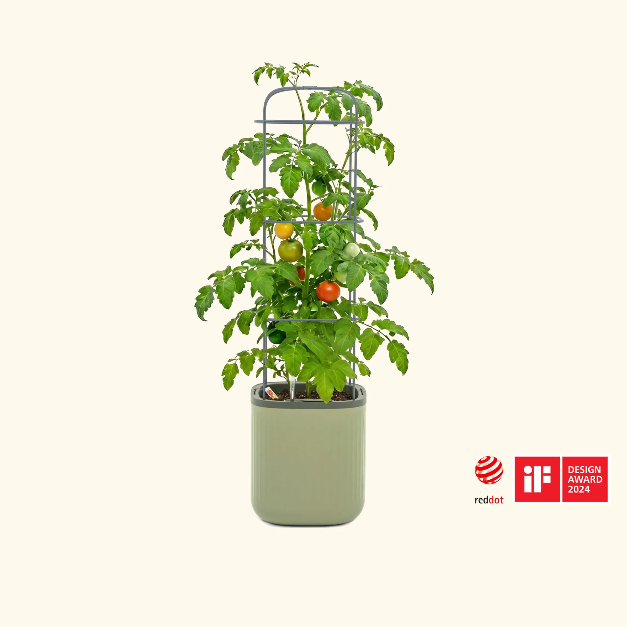 Kies de juiste zelfbewaterende tomatenplantenbak