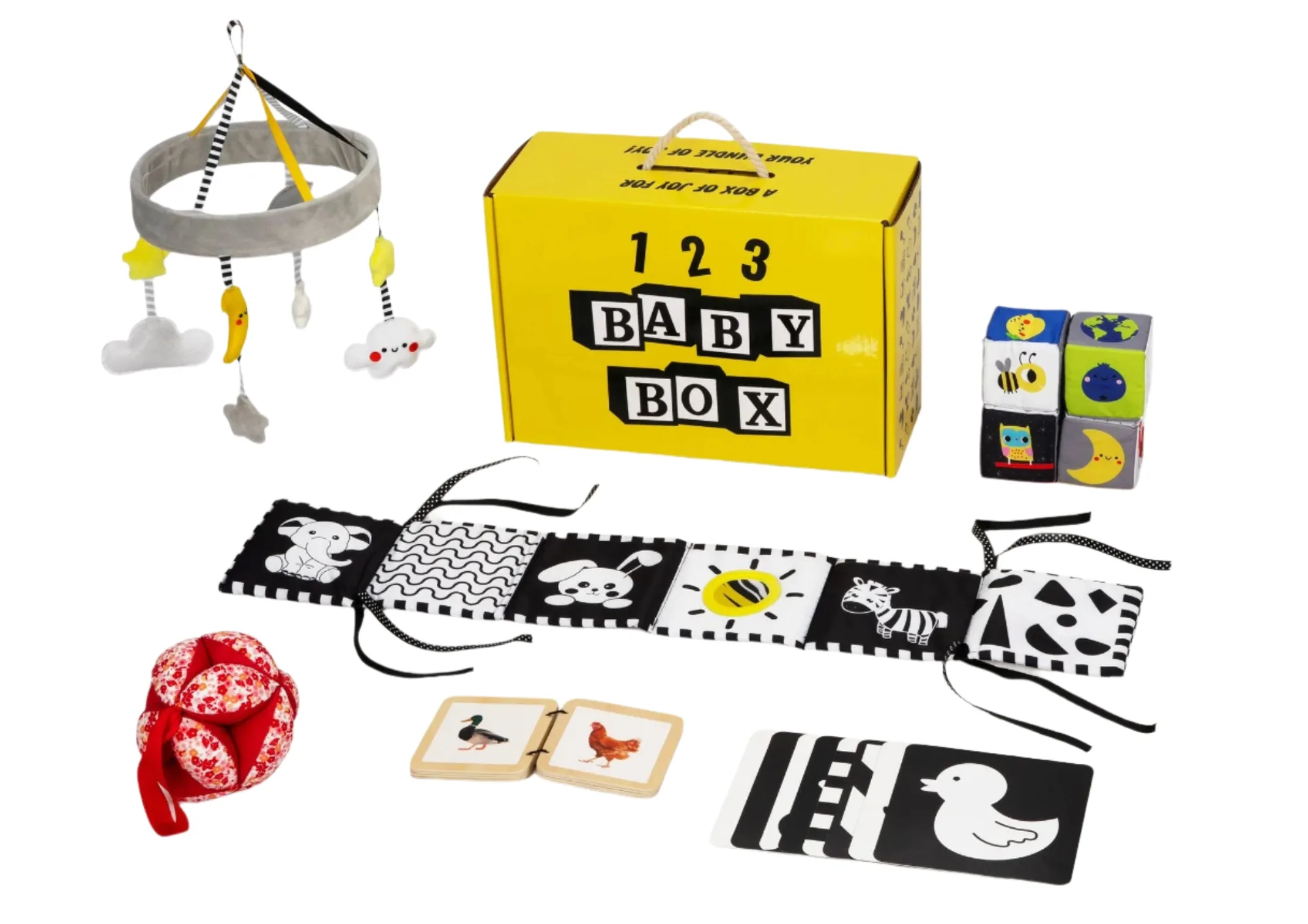 Memory Touch Game vs Animal Puzzle: Which Fits Your Baby First?