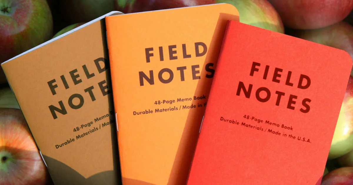 How to Repair Torn Pages in Your Memo Books: A Step-by-Step Guide
