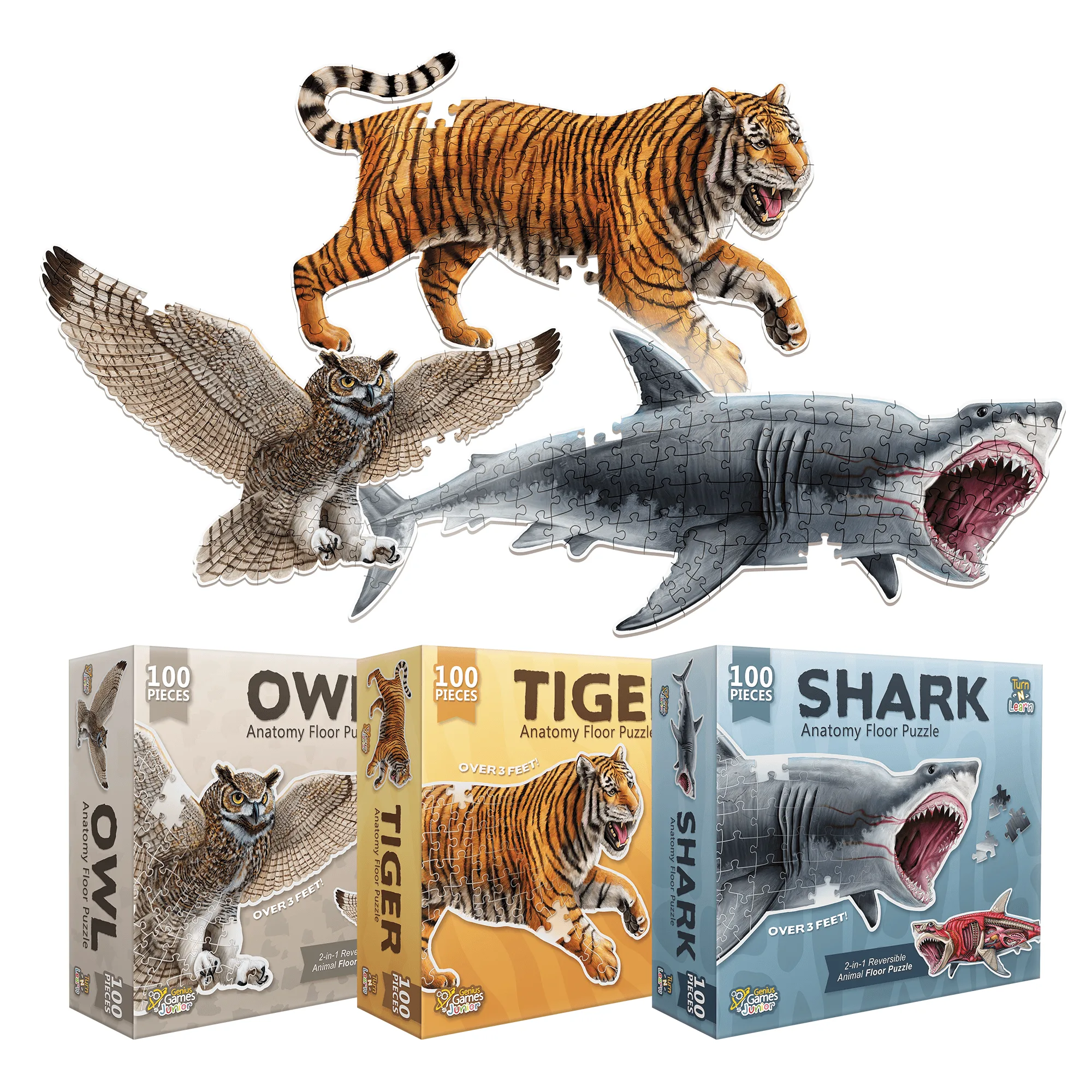 Pack - Puzle Tigre, Tiburón y Búho - Puzle de suelo doble cara 4FT