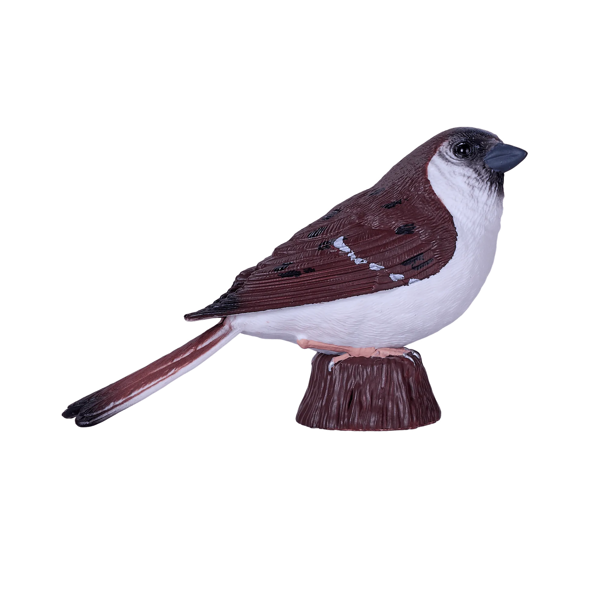 Barn Owl vs House Sparrow Figure: Which Bird Model Should You Buy?