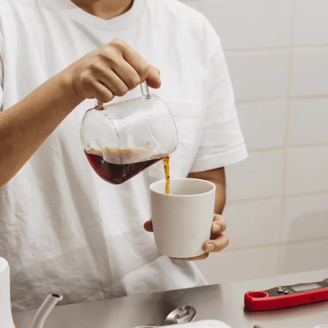 Guía paso a paso para aprobar el curso Brew Fundamentos de la SCA (con consejos de NOMAD Coffee)