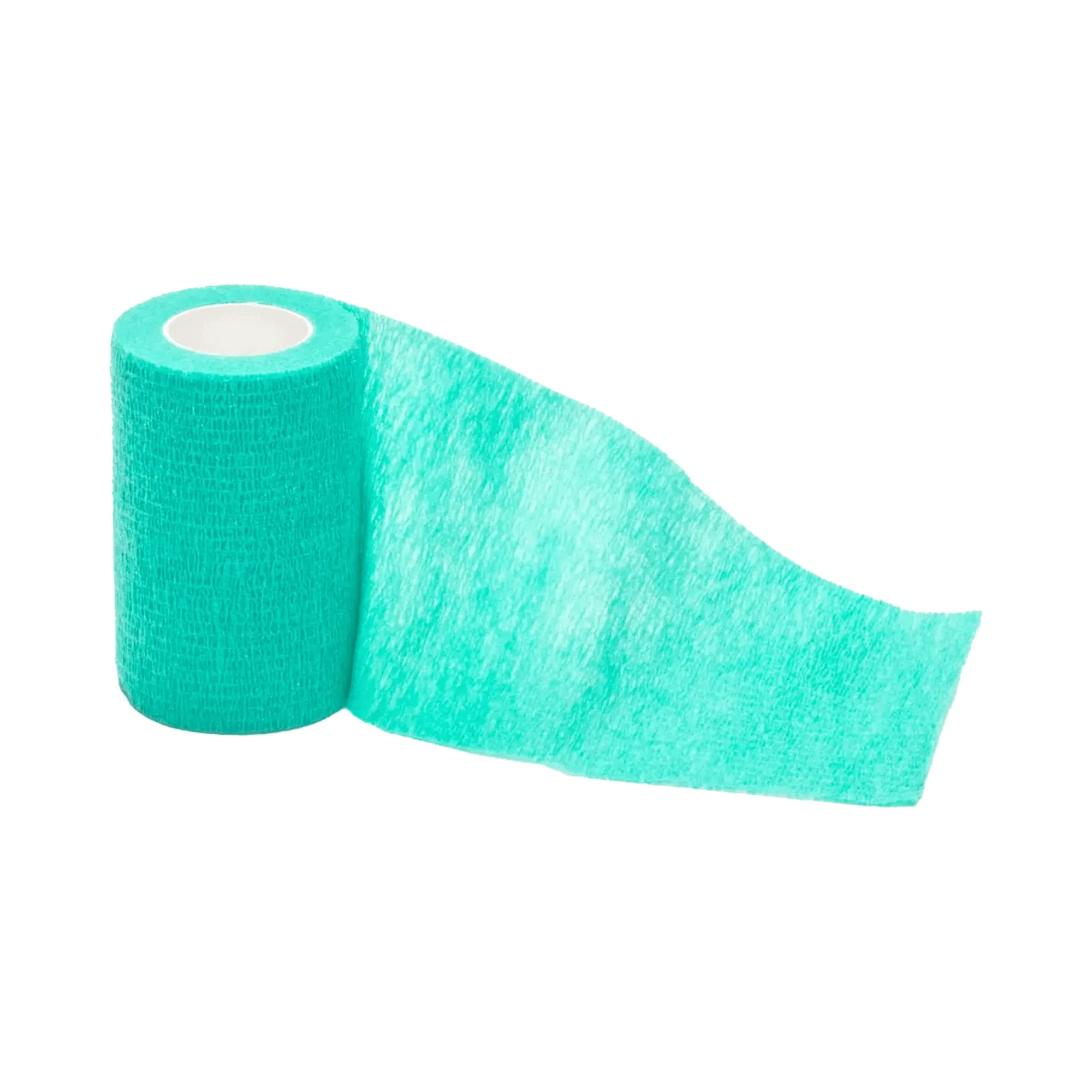 First Aid Basics: What to Keep in a Pet Kit