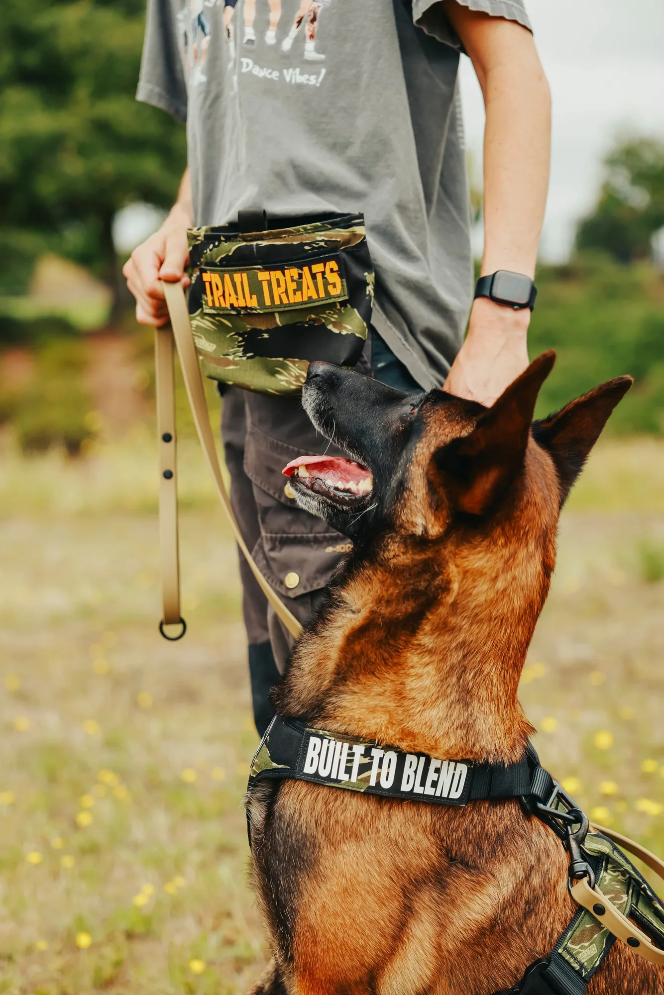 Training Bag Buying Guide: What to Look For