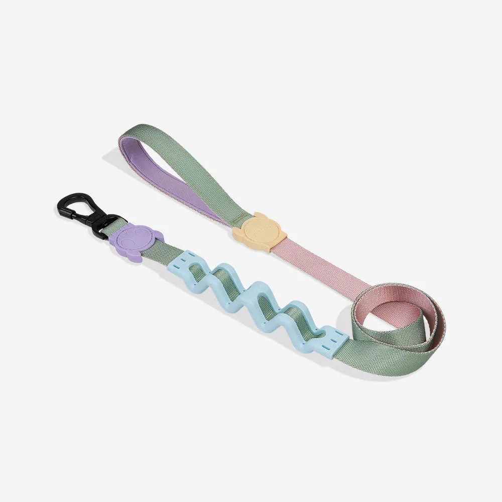 How to Train Your Dog to Walk on a Loose Leash with the Ruff Leash