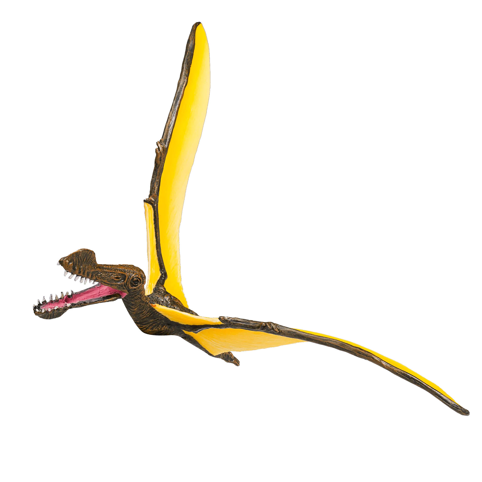 Tropeognathus