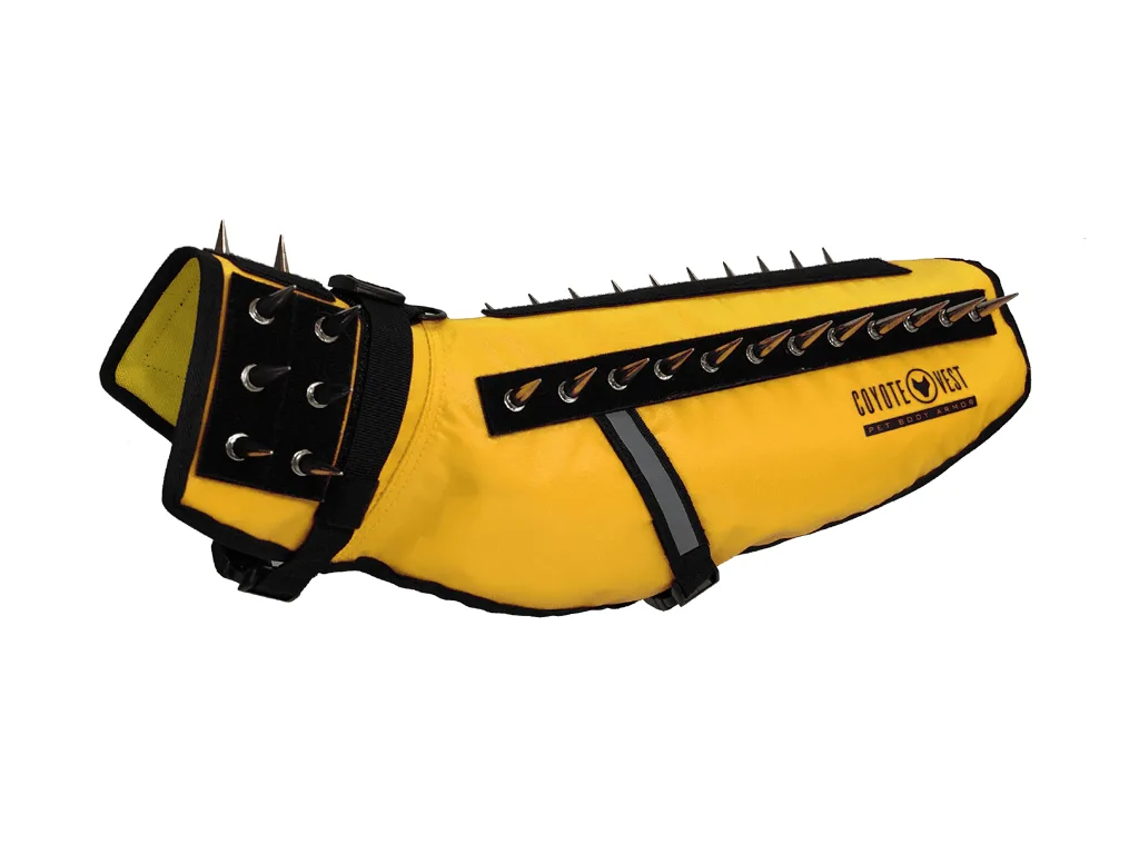 HawkVest vs. CoyoteVest: Hvilken hundesele passer dine behov?