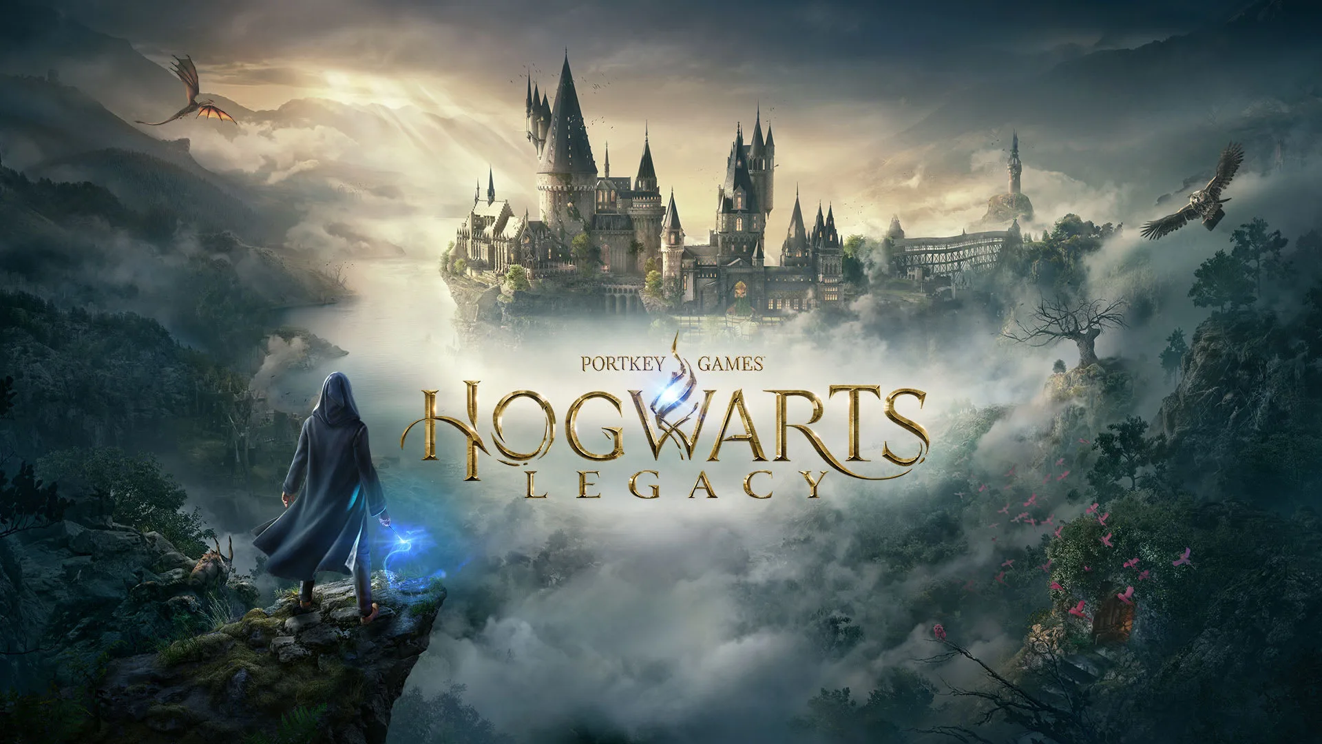 Hogwarts Legacy auf Switch vs. anderen Plattformen: Leistung