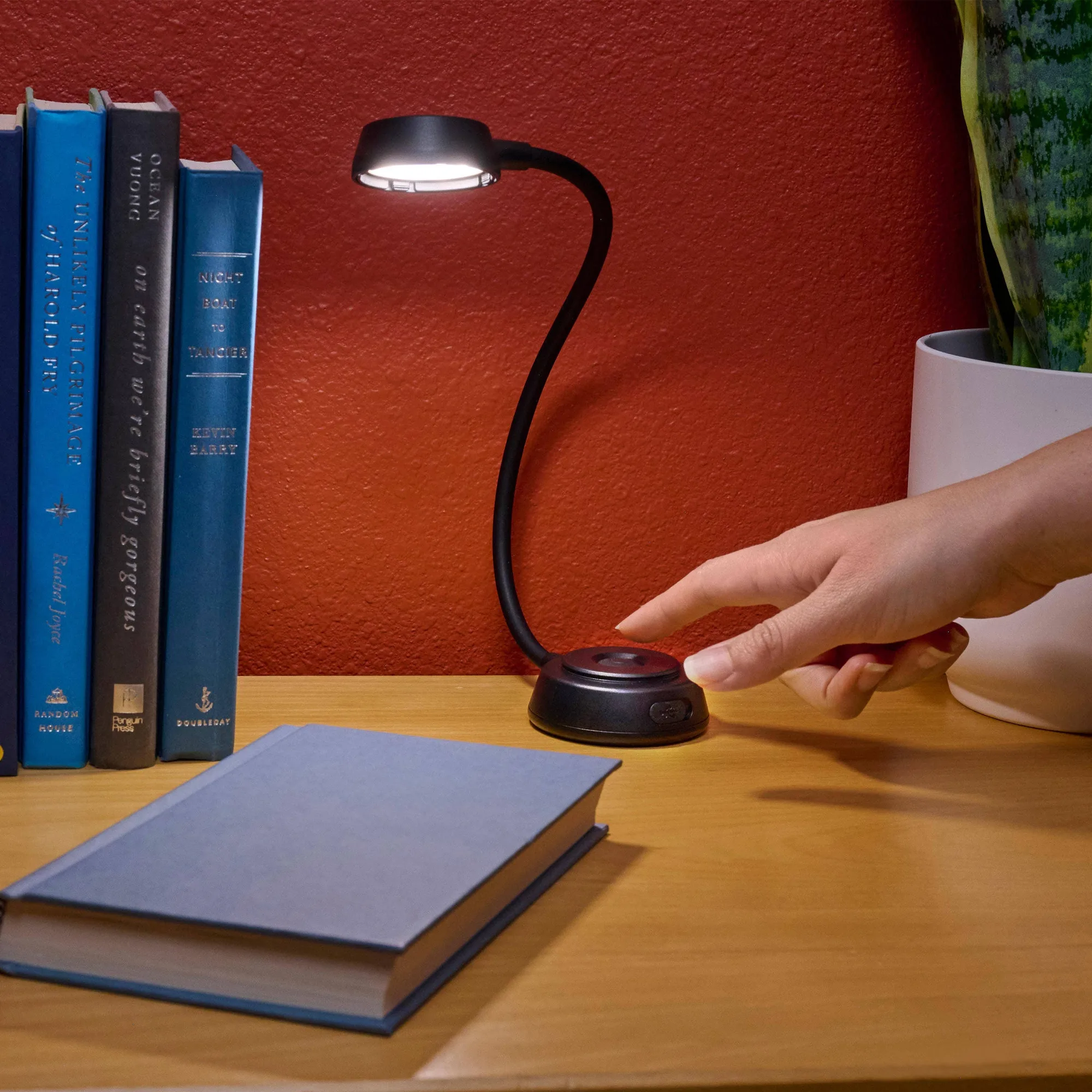 Radiant Flex vs. RL1: Welche Nite-Ize-Lampe passt zu Ihnen?