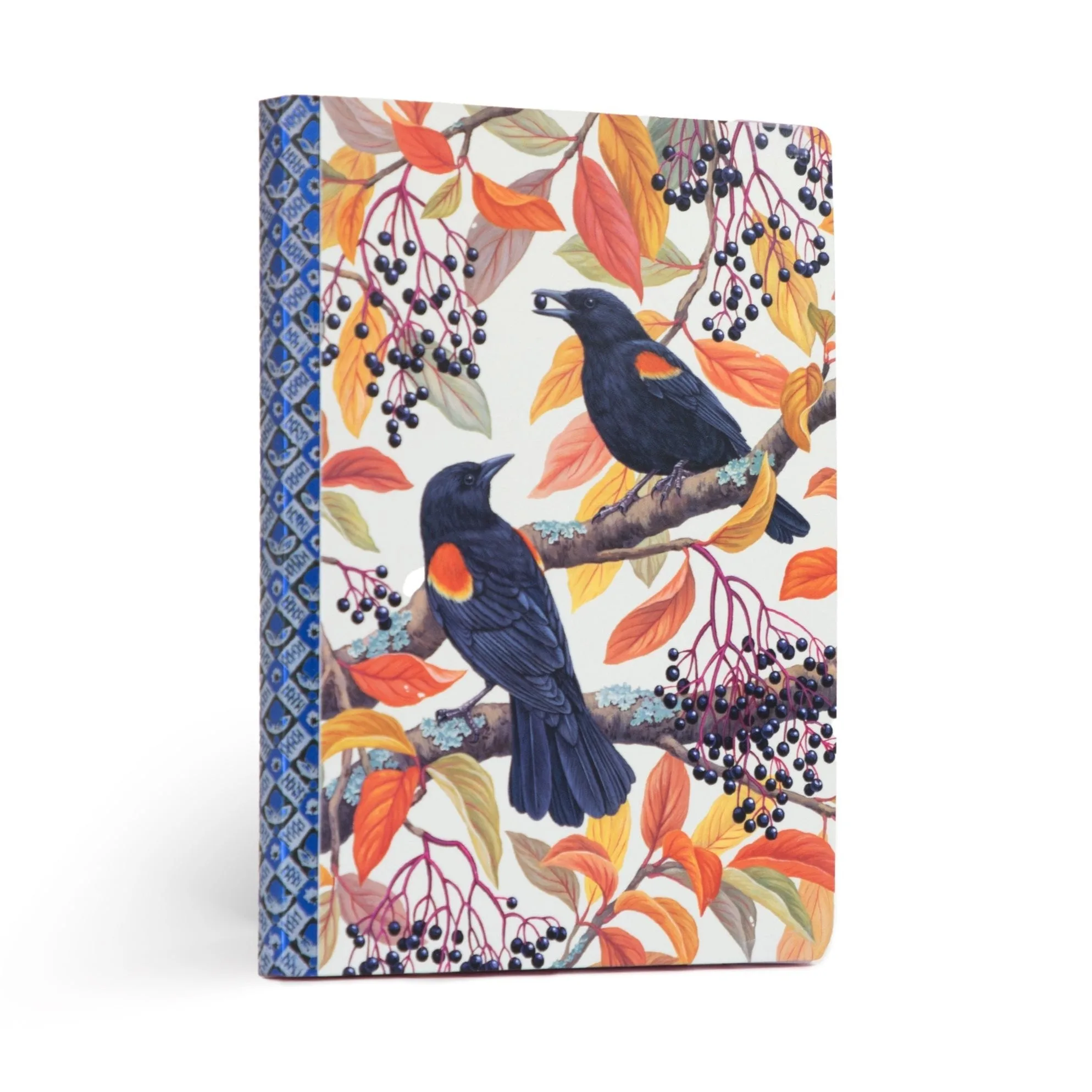 How to Choose a Journal for Daily Reflection