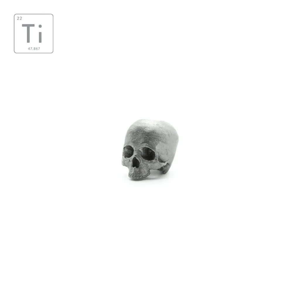 Anatomical Memento Mori 랜야드 비드 티타늄
