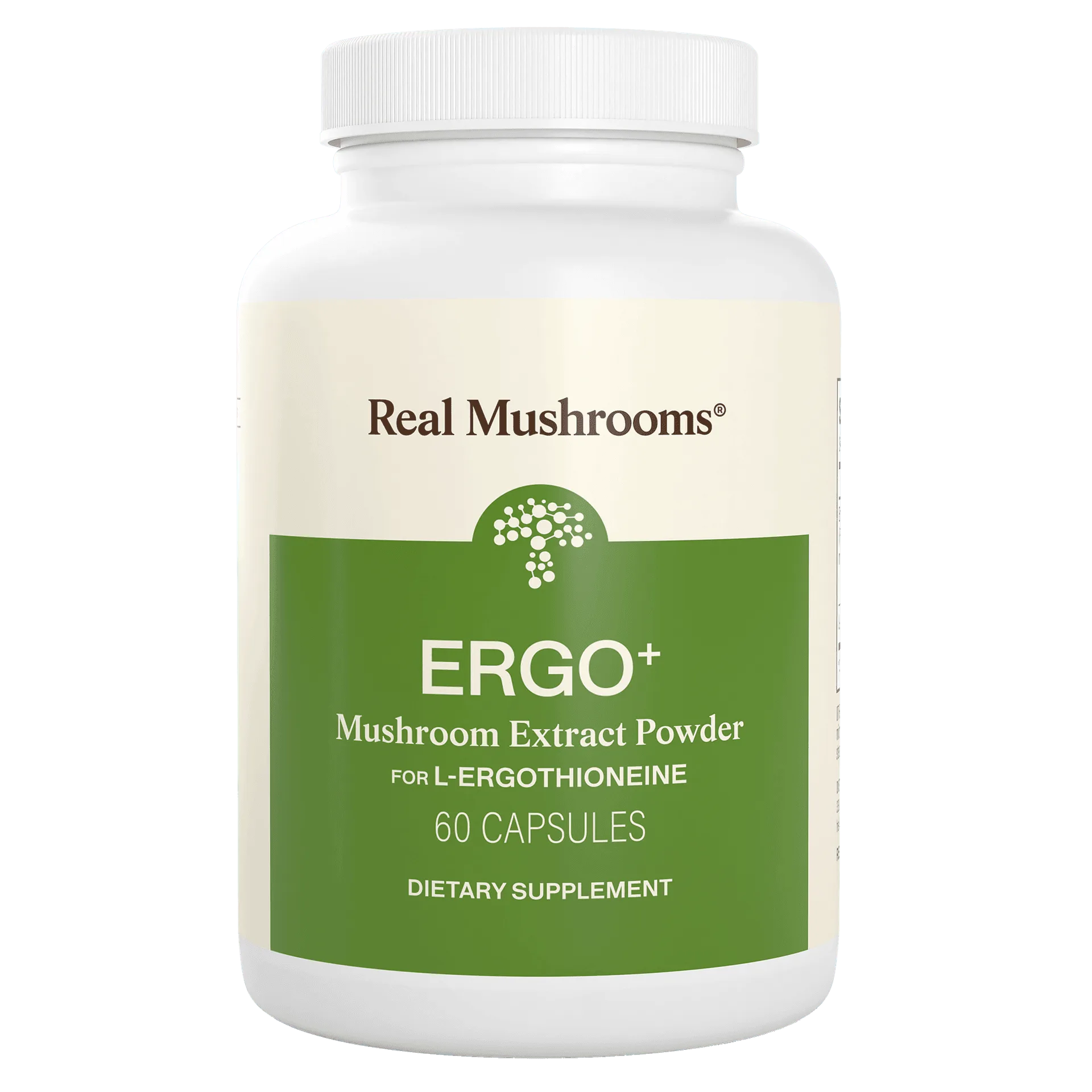 How to Identify High-Quality Organic Mushroom Extract Capsules