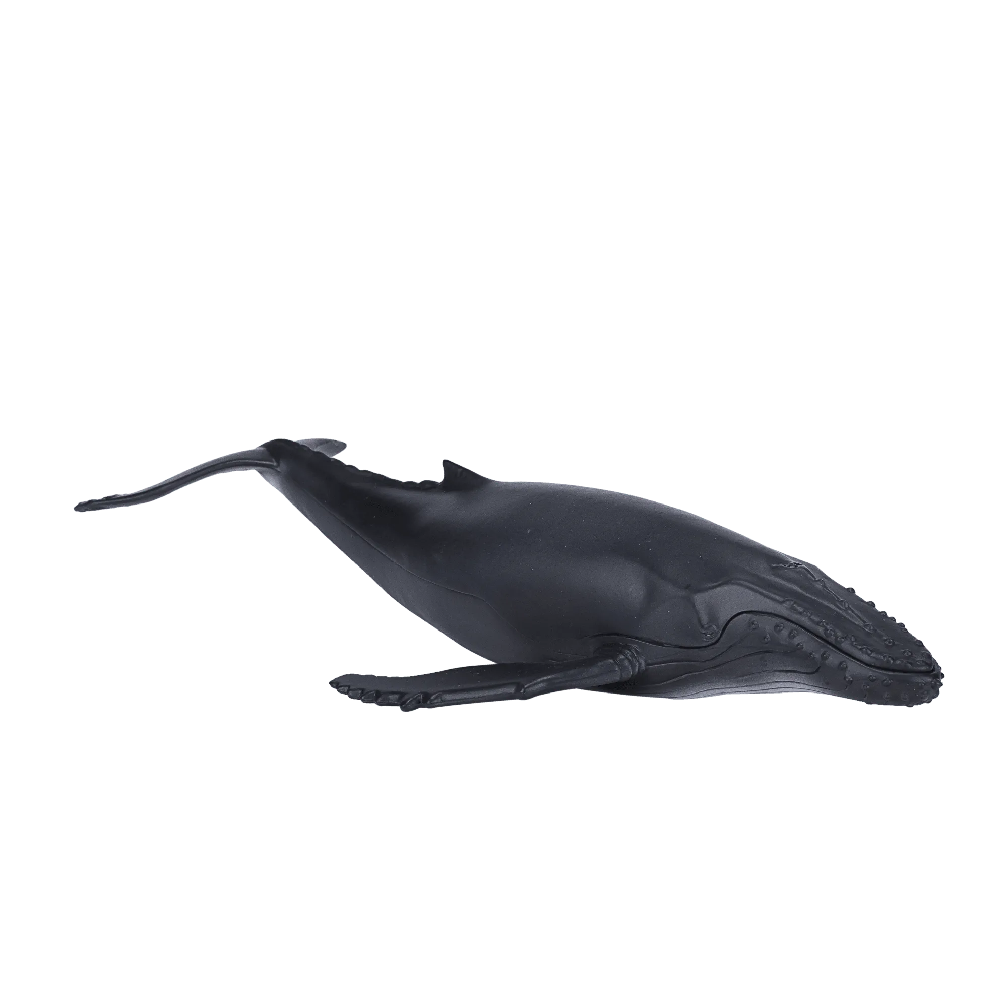 Ballena jorobada