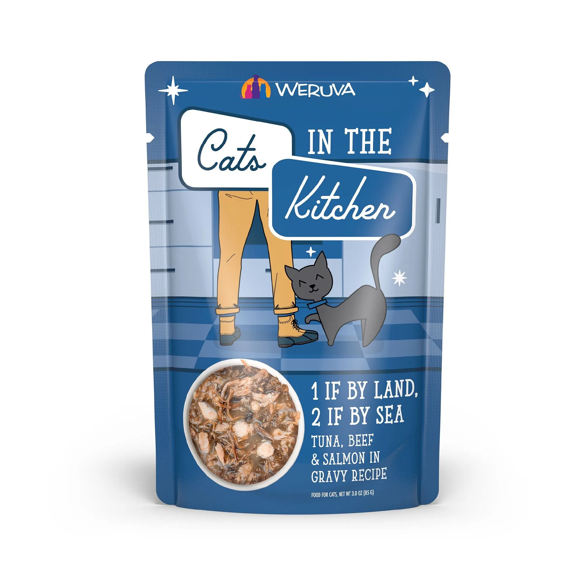 Why Is My Cat Overweight? A Practical Guide to Portion Control and Weight Management