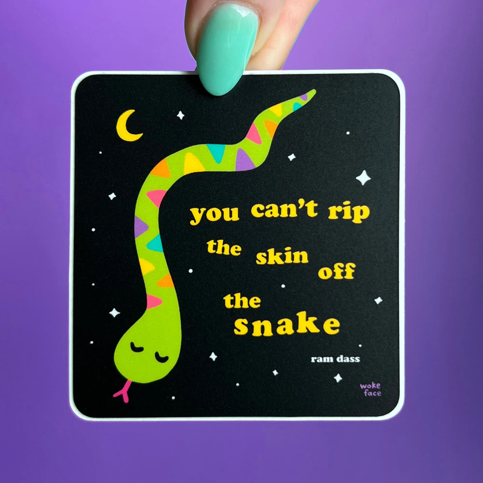 Snake Ram Dass Sticker
