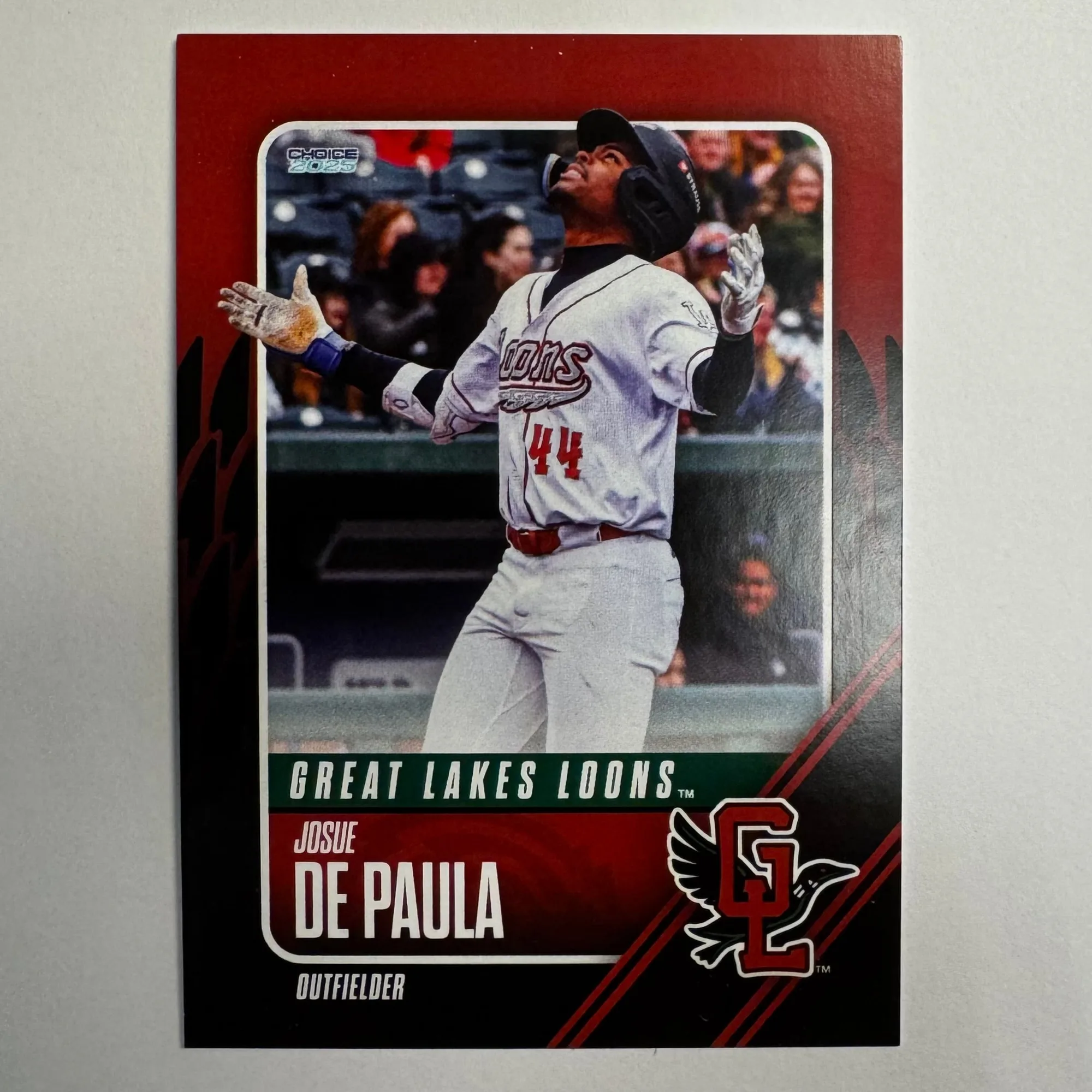 2025 vs 2023 Great Lakes Loons Team Sets: What's Inside?