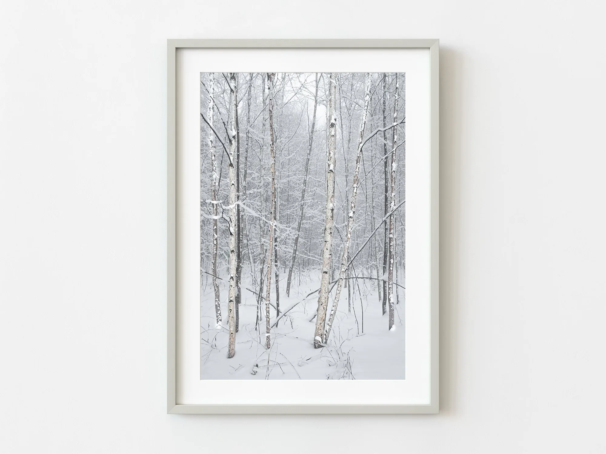 How to Choose a Limited Edition Landscape Print for Your Wall