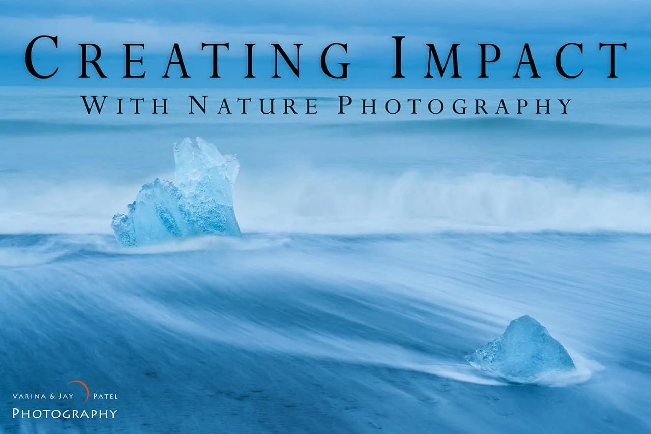 Crear impacto con la fotografía de naturaleza: preguntas frecuentes