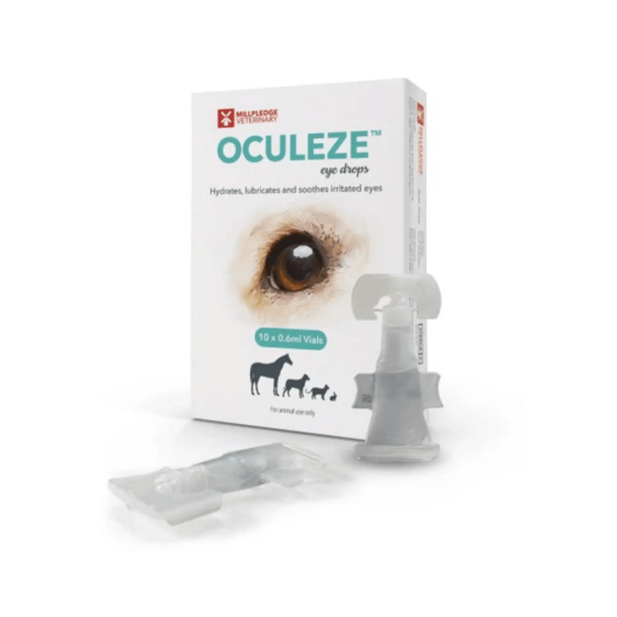 Collirio vs gel oculare per animali: quando usarli?