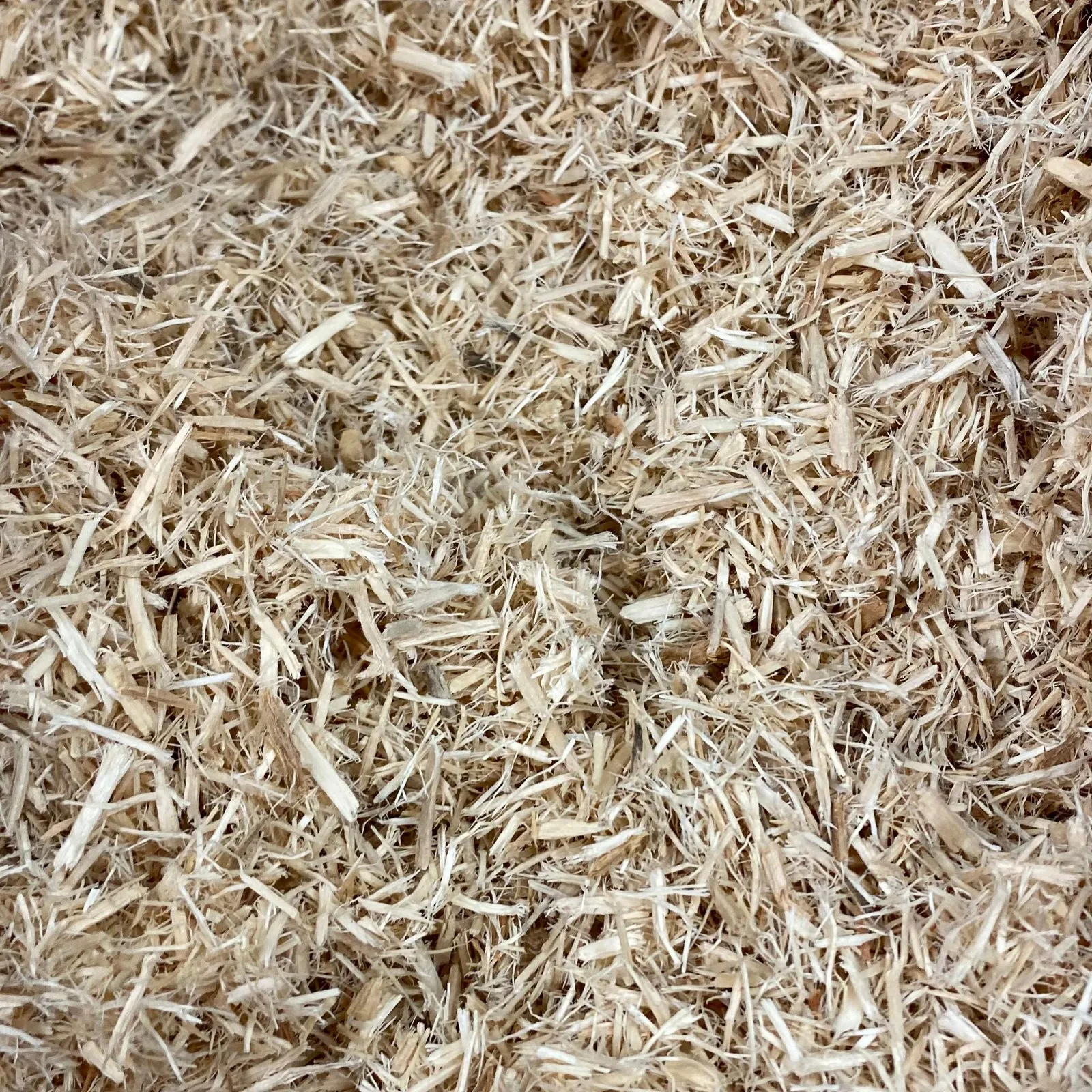 Choosing the Right Bedding for Small Pets