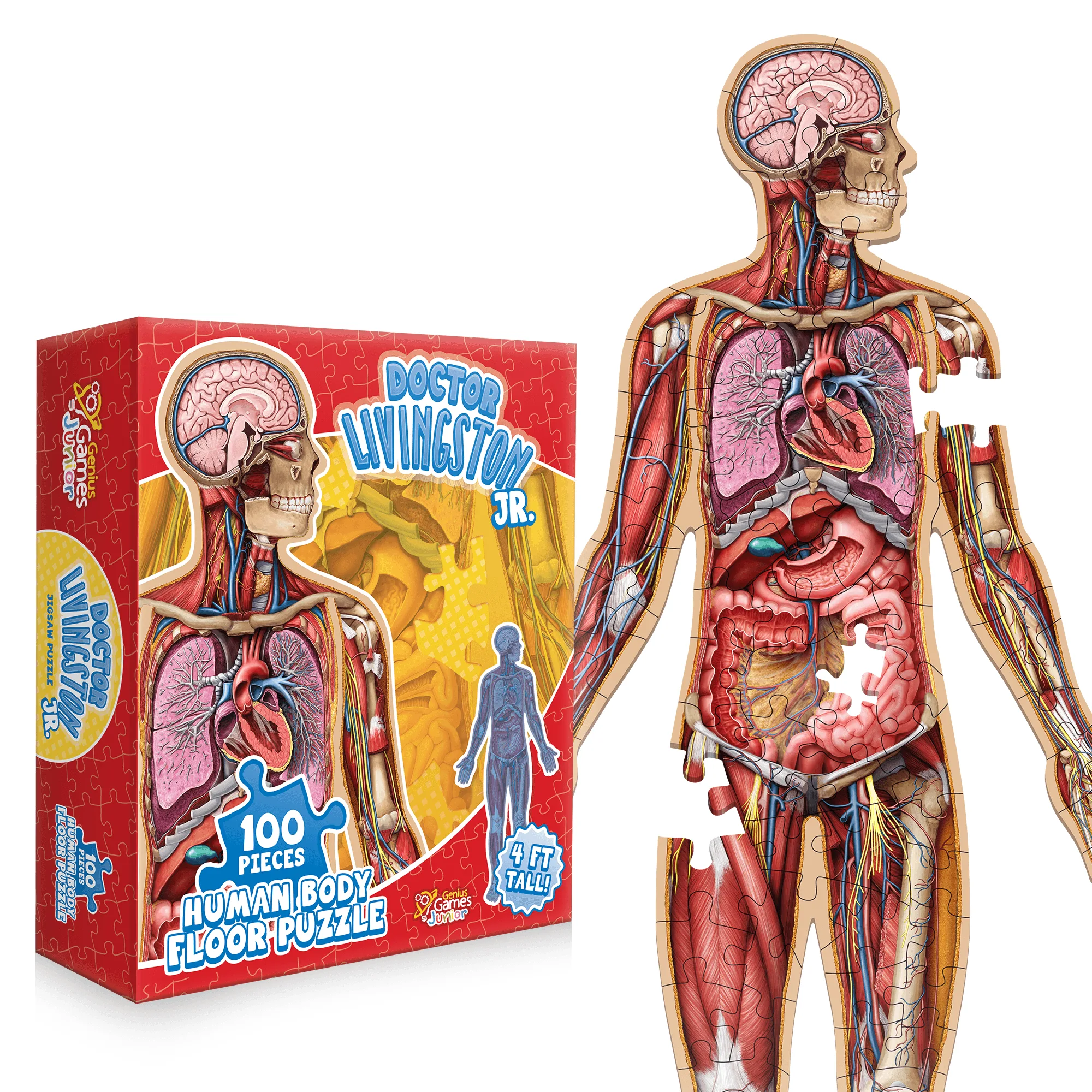Medically Accurate Floor Puzzles for Kids: What to Look For