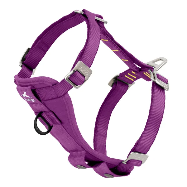 Bungee Tether vs. Standard Dog Seatbelt: Which Is Safer for Car Travel?