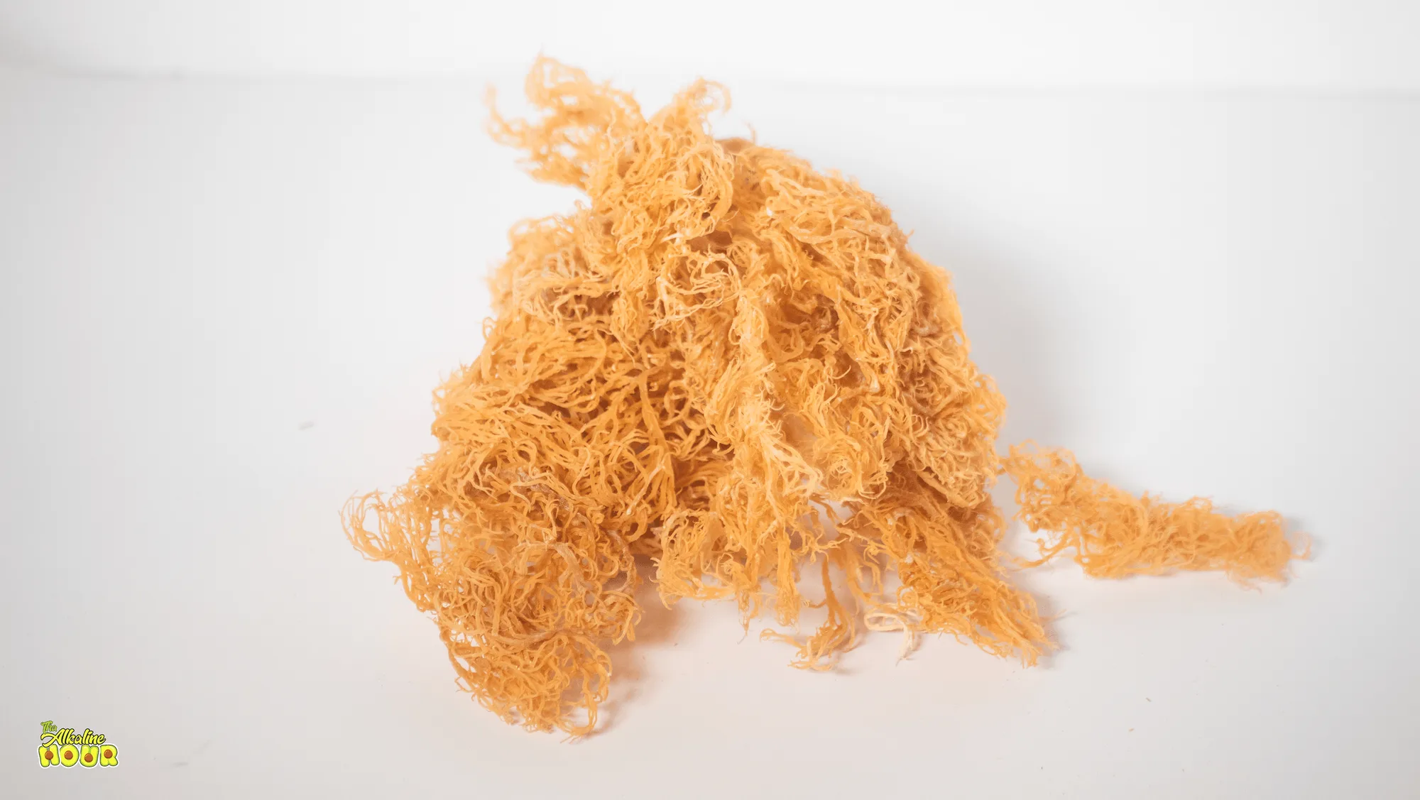 Sea Moss Gel vs. Sea Moss Capsules: Which Form Is More Effective?