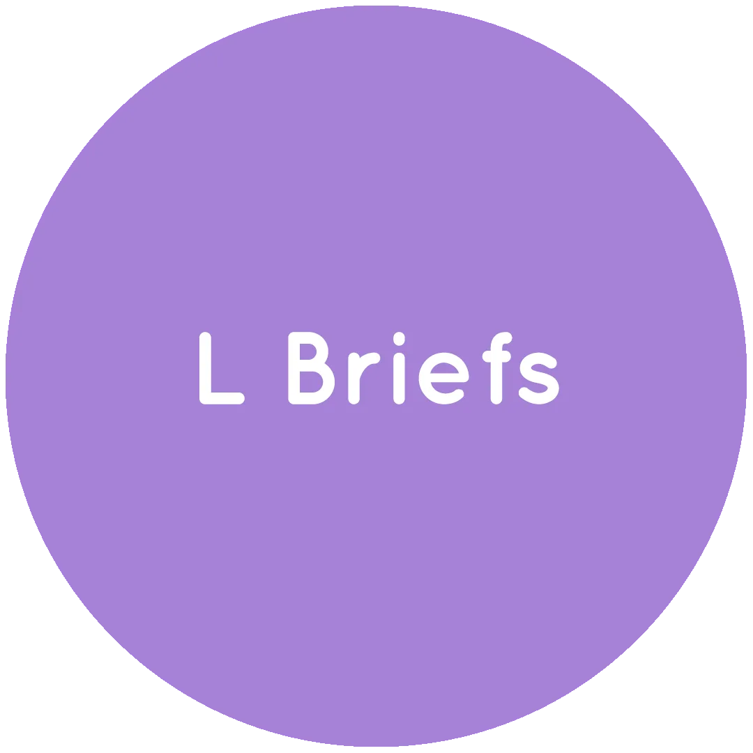 OUTLET - L Briefs