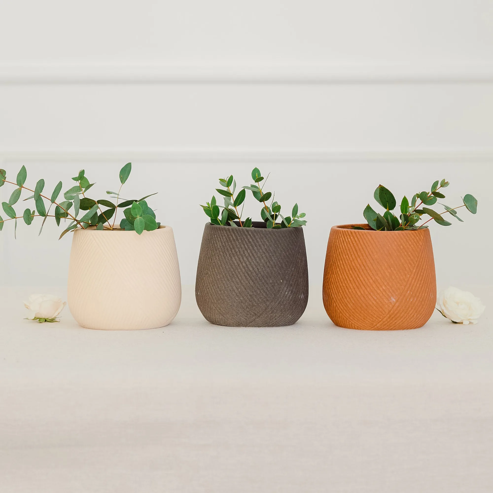 Small Ceramic Vases vs Tall Vases: Which Suits Your Space?