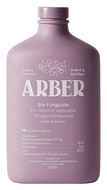 Best Plant Pest Control Products for Indoor Gardens: A Buyer’s Guide