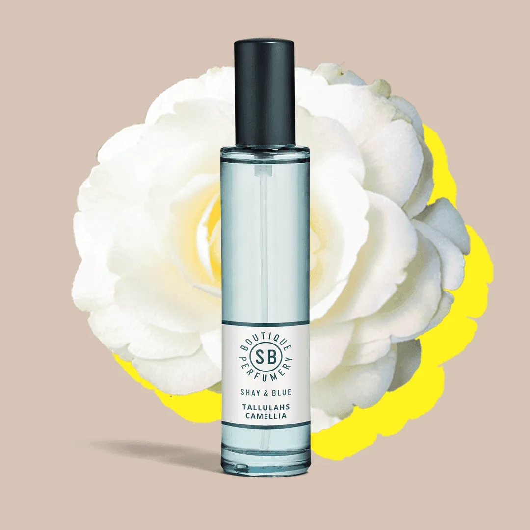 How to Choose a Fragrance for Your Personality: A Complete Guide