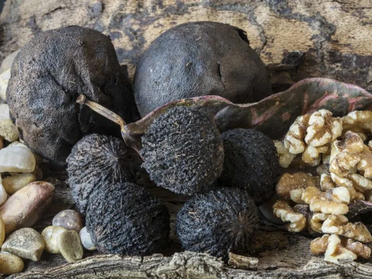 What Is a Parasite Cleanse? Benefits, Risks, and What to Expect