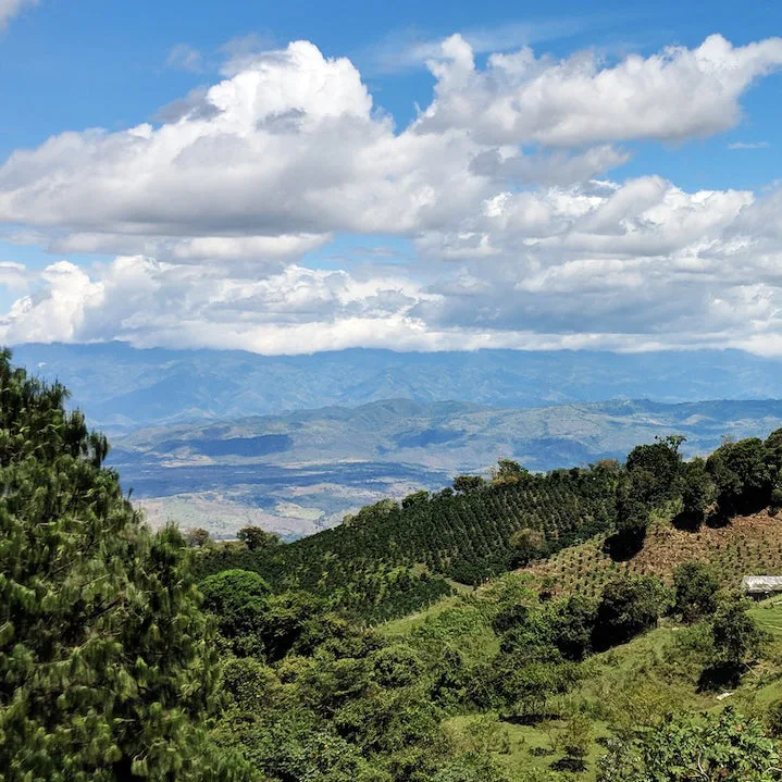 How to Brew RFA Colombia Single Origin Coffee